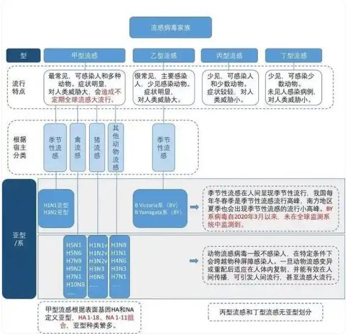 当前流感99%以上为甲流